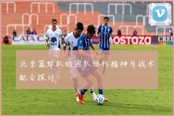 北京篮球队的团队协作精神与战术配合探讨